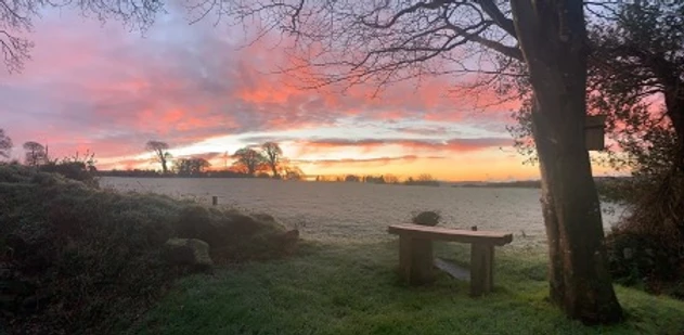 A frosty field and bench at sunrise, the view from the cottage in Cardinham Woods, Cornwall